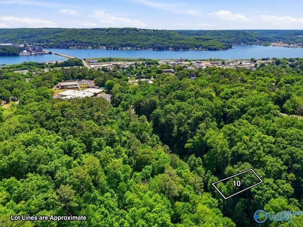 LOT 10 Lusk St, Guntersville, AL 35976