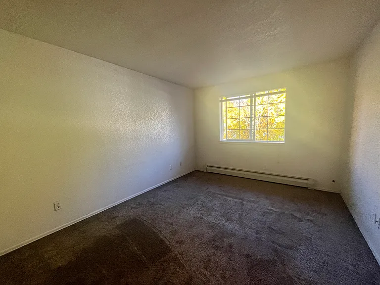 8206 Elk Ln — Photo 6