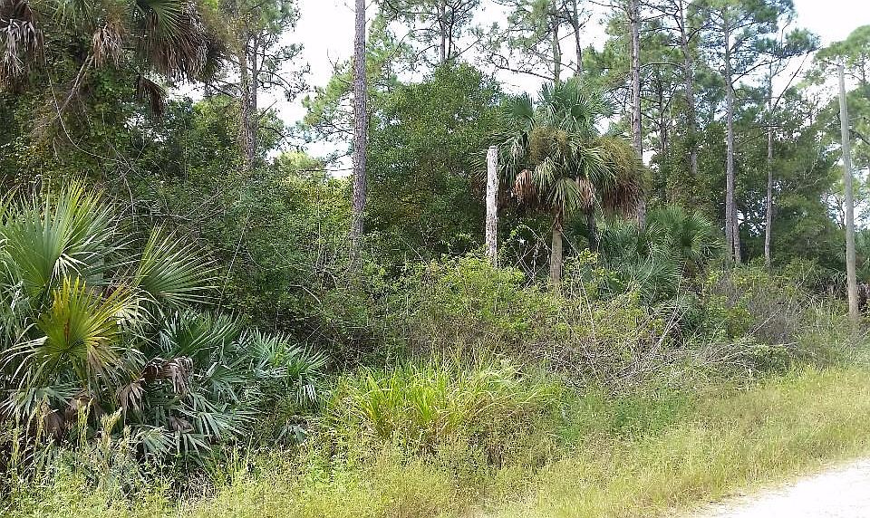 1st image of 13875 89th St