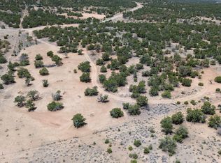 1488 New Mexico 603, Pie Town, NM 87827