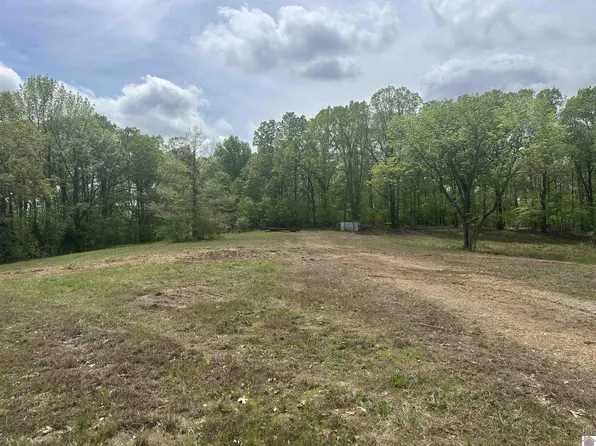 665 Goodwin Dr, Dexter, KY 42036