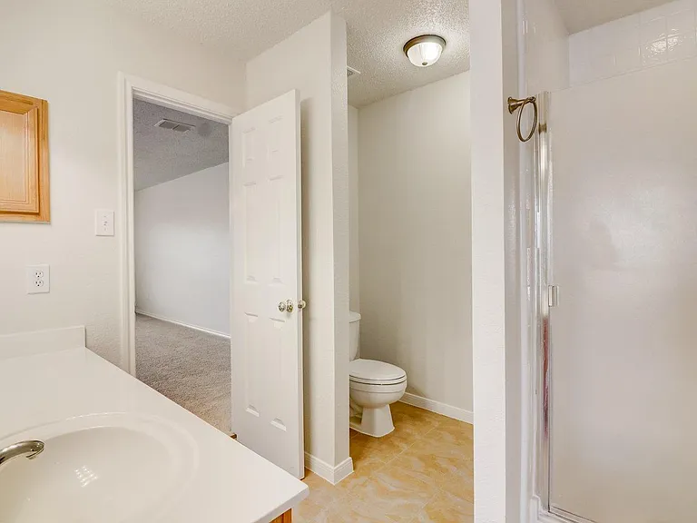 Master Bath Shower