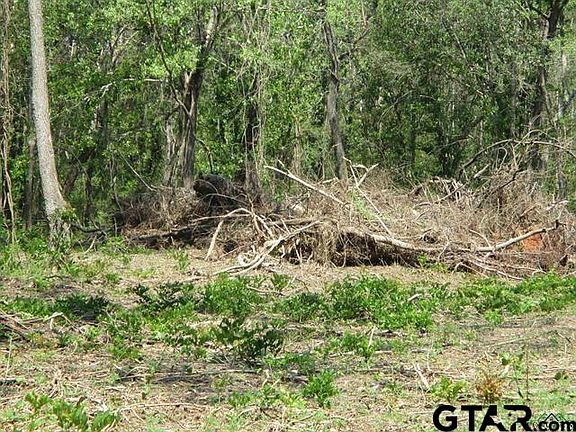3rd image of 0 County Road 4105