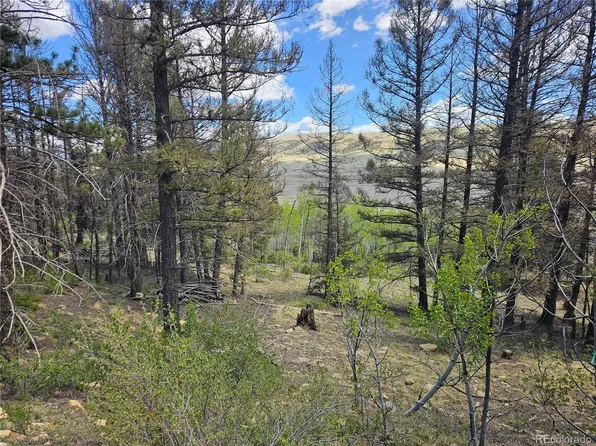 1412 Redhill Road LOT 129, Fairplay, CO 80440