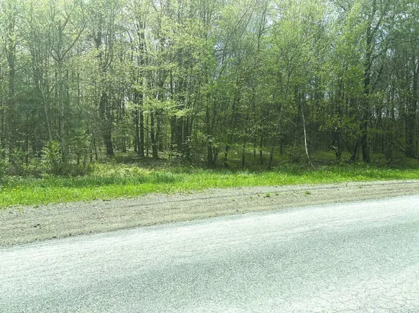 0 Appaloosa Trl, Walton, NY 13856