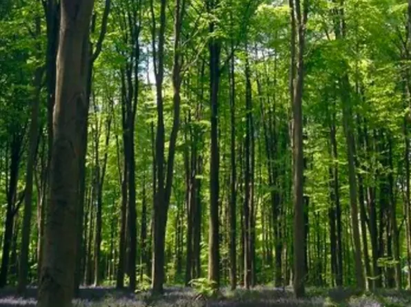 LOT 1 Winterberry Ln, North Easton, MA 02356