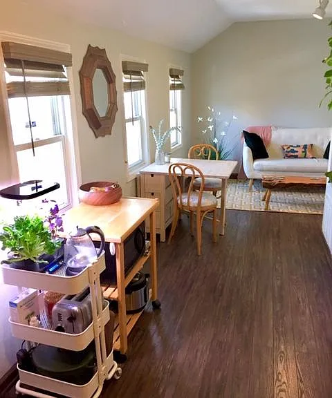 Bright sunny living area overlooking backyard