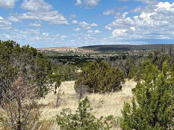 306 Edgewood Dr #4, Ramah, NM 87321
