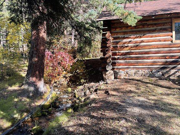 4th image of 135 Isabelle Dr