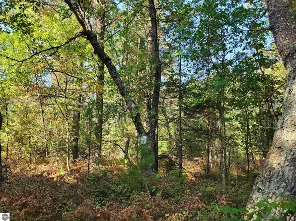 0 Boehm Rd, West Branch, MI 48661