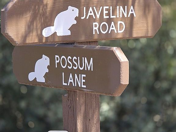 4th image of 0 Possum Lane  Javelina Road