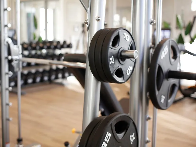 Fitness center with strength equipment