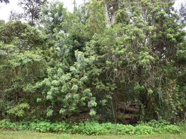 Tiki Ln Lot 21, Ocean View, HI 96737