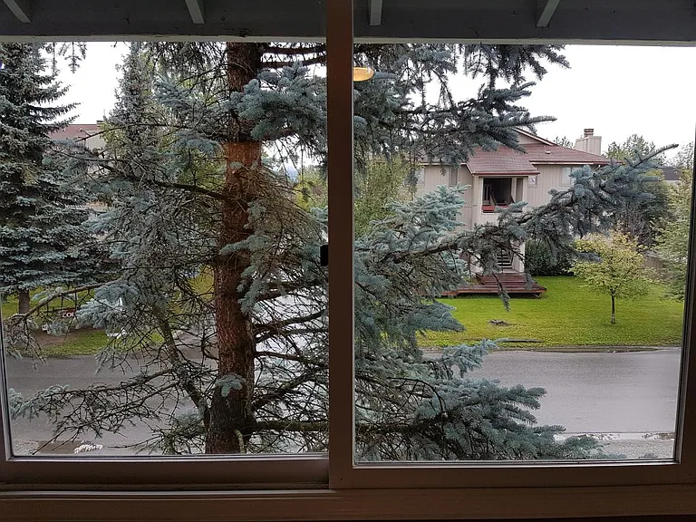 View From Master Bedroom
