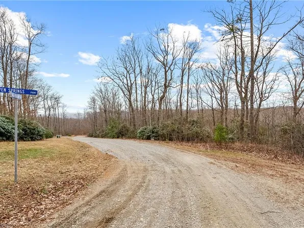 W Pheasant Chase, Ararat, VA 24053