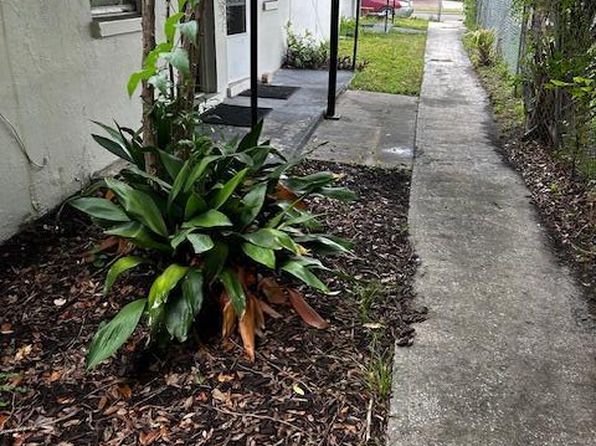 jacksonville-florida-154601997 picture