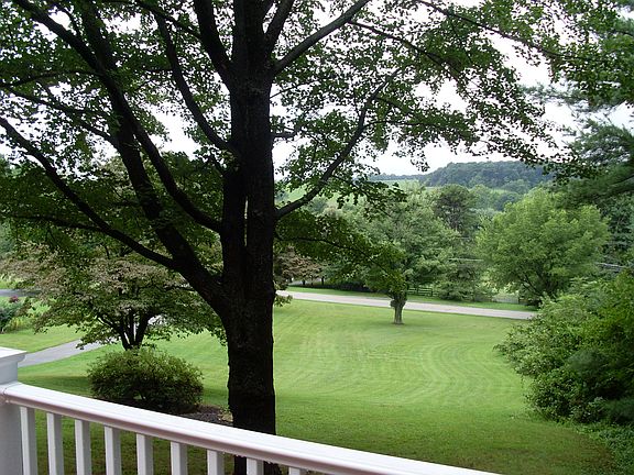 view from deck