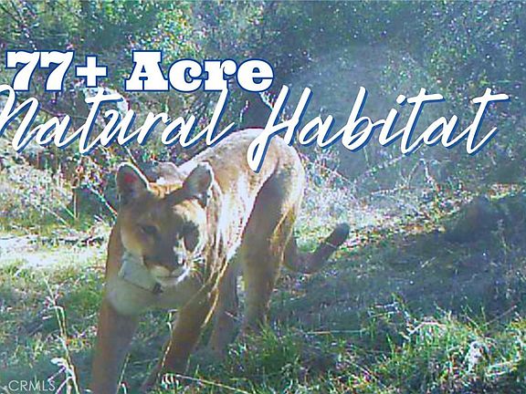 5th image of 28618 Chihuahua Valley Rd