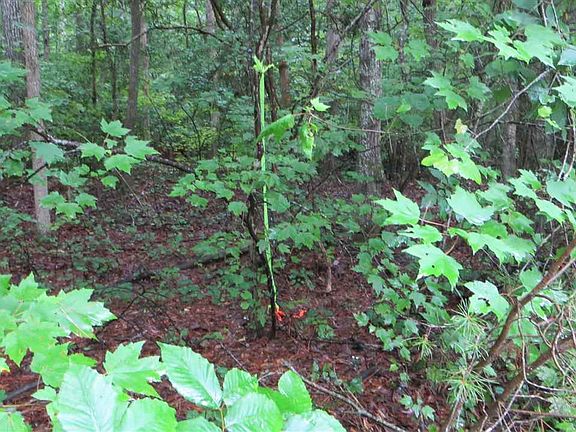 5th image of Huntington Dr Lot 5