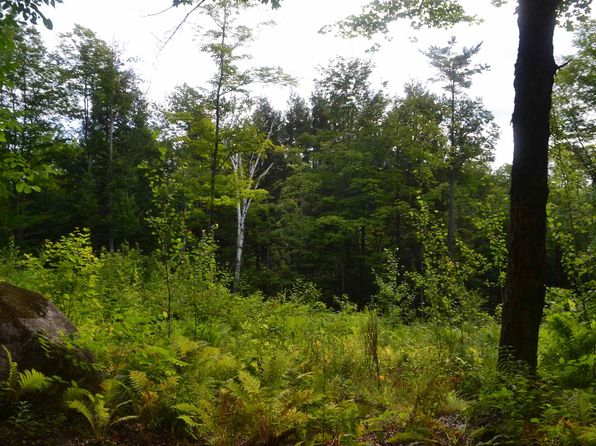 Waterfront Bristol Nh Waterfront Homes For Sale 3 Homes Zillow