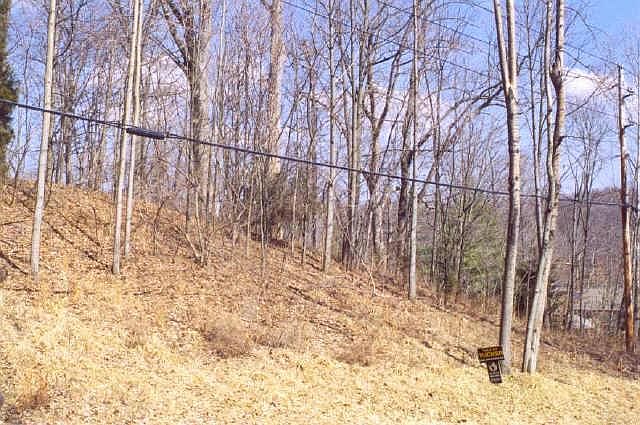 2nd image of 50 Callon Rd