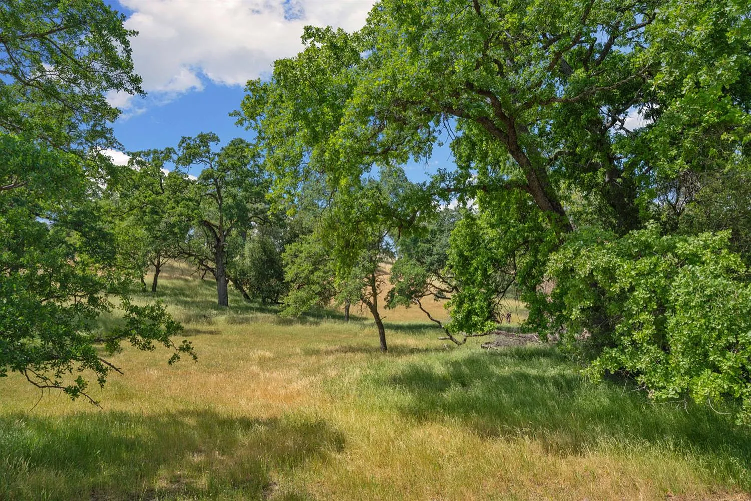 1605 Camino Verdera photo 1