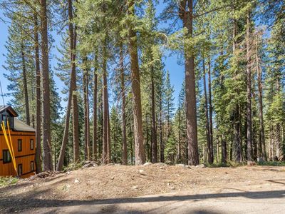 51228 Jeffery Pine Dr, Soda Springs, CA, 95728