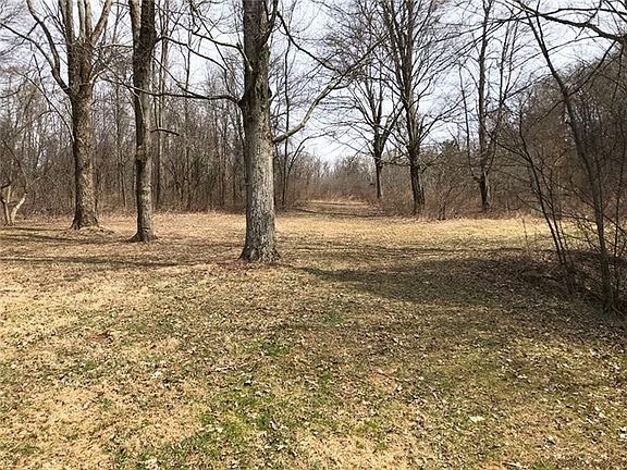 View from the rear of the home to the woods and trails!  Beautiful when the trees are in full foliage!!