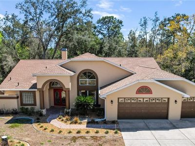 17 Jungleplum Ct S, Homosassa, FL, 34446