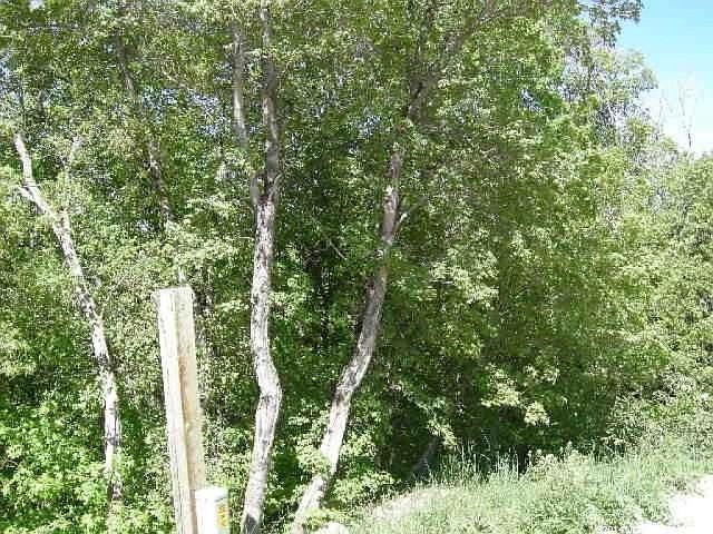 1st image of 214 Juniper Drive #Blw C491
