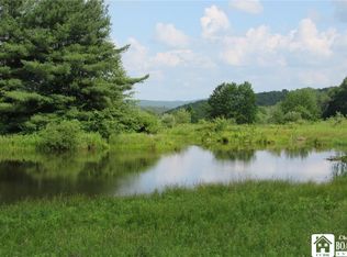 0A Morgan Hollow Rd #1, Hinsdale, NY 14743