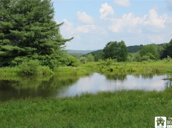 0A Morgan Hollow Rd #1, Hinsdale, NY 14743