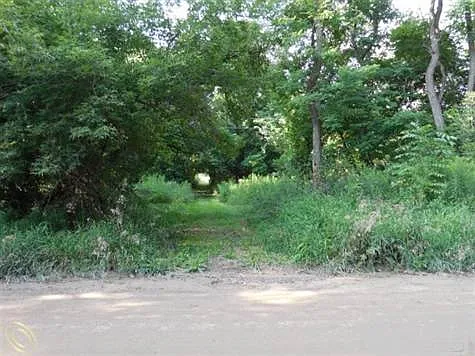 12320 Rattalee Lake Rd photo 1