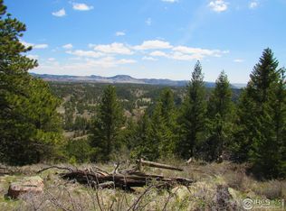 347 Cap Rock Rd, Livermore, CO 80536