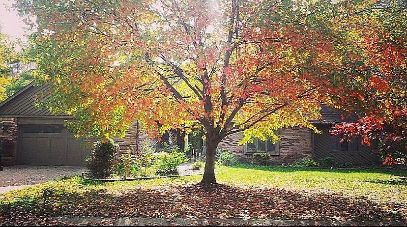 1st image of 8845 Lincolncreek Cir