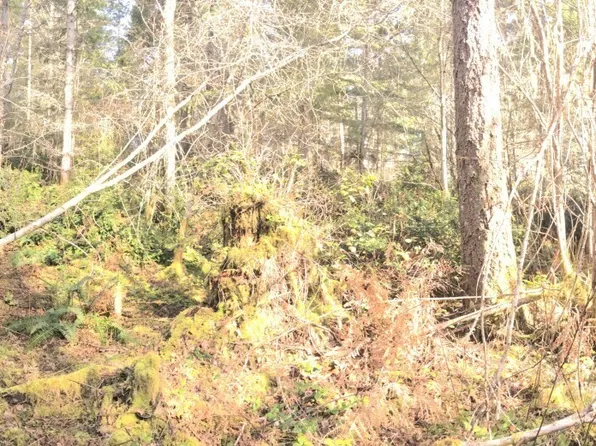 0 160th Avenue NW, Gig Harbor, WA 98329
