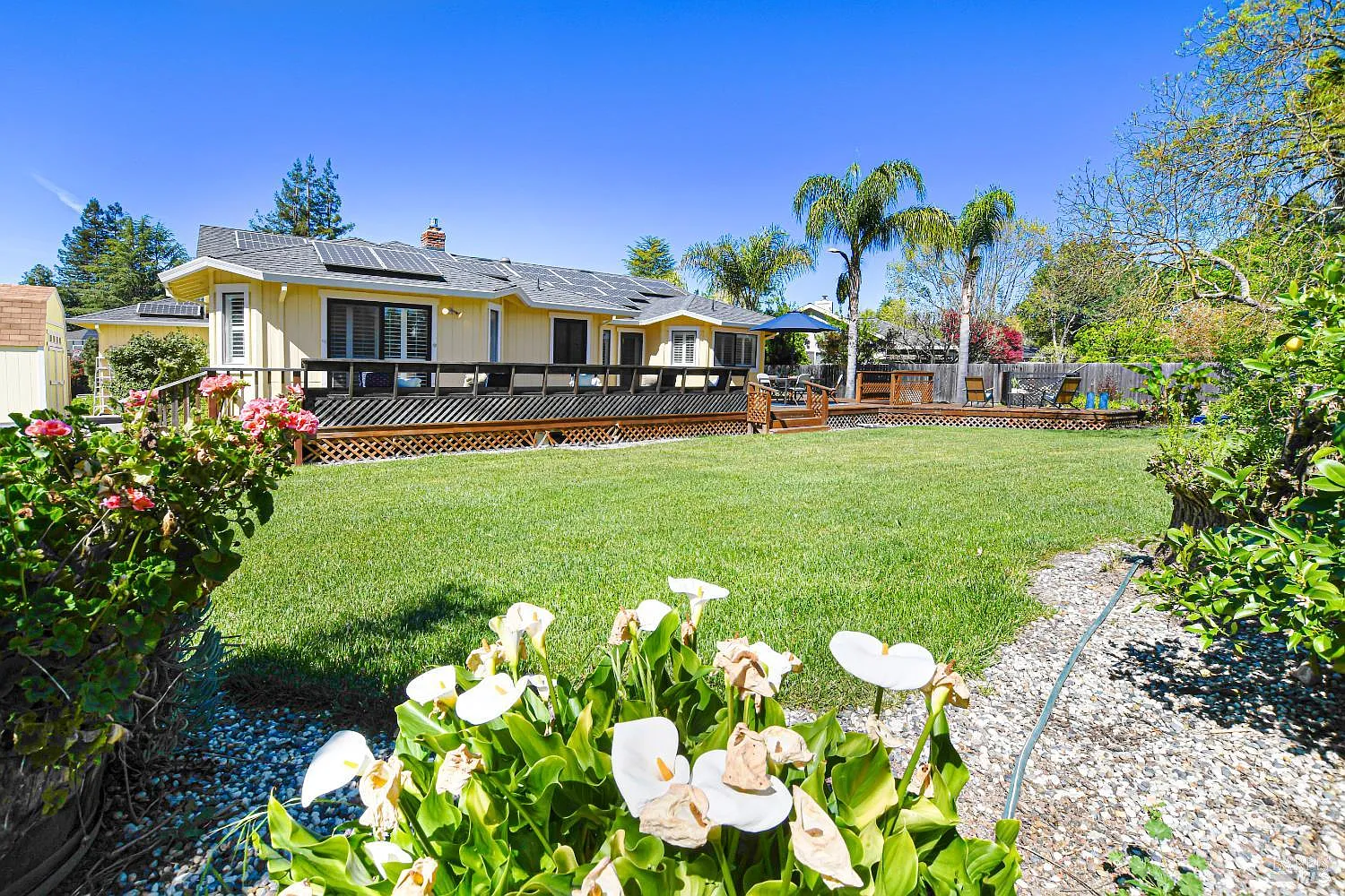 186 Barrio Way - 3bd/2ba, 2,021 sqft - in Windsor, CA