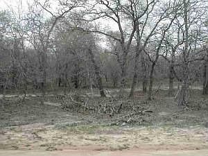 2nd image of 144 Chuckwagon Dr