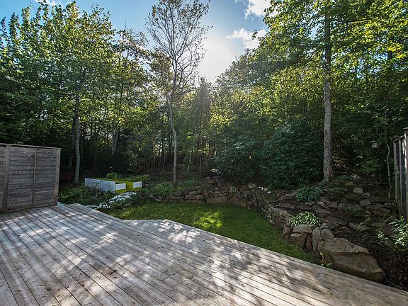 backyard, view to forest