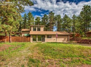 1254 Terri Ln, Woodland Park, CO 80863