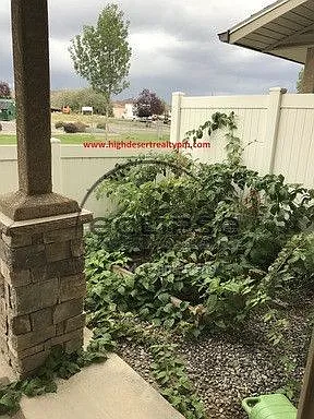 2470 Theresea Ln — Photo 13