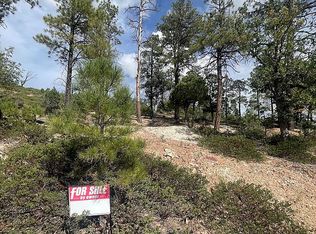 6354 Homestead Trl, Show Low, AZ 85901