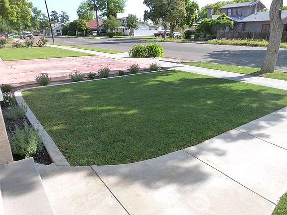 Front Yard
