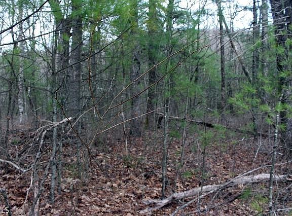 4th image of 0 Booger Hollow Trl