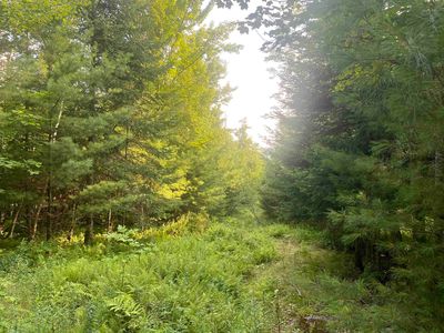 Lot 4 Aldrich Mountain Lane #4, Saint Johnsbury, VT, 05819