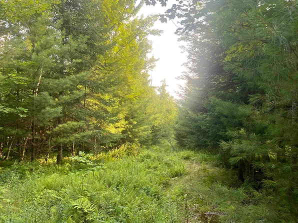 Lot 4 Aldrich Mountain Lane #4, Waterford, VT 05819