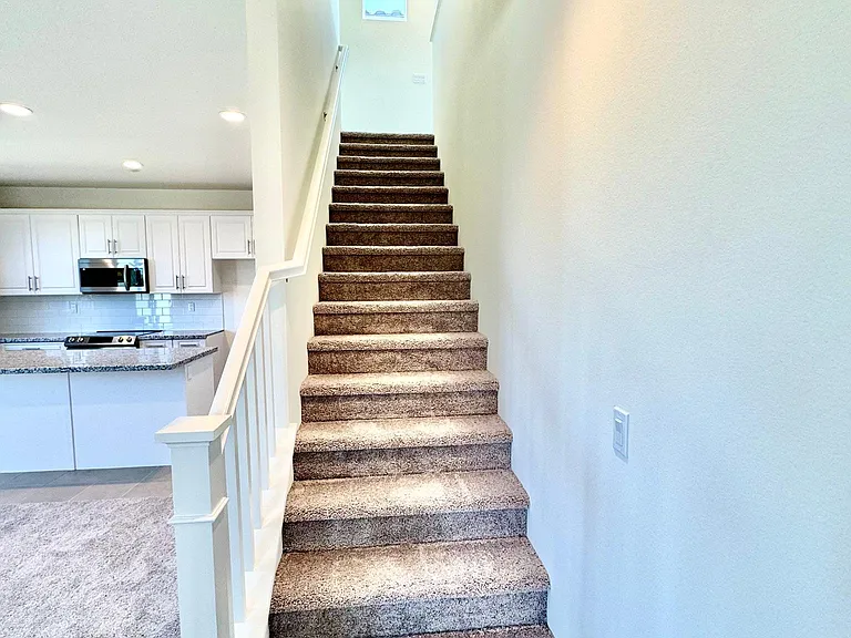 4388 Cadence Way — Photo 11
