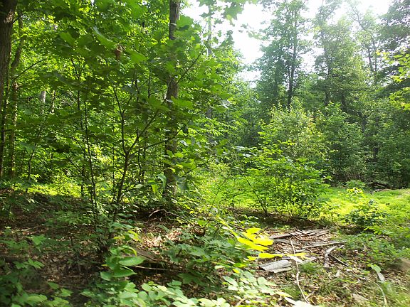 Abundant with Wildlife