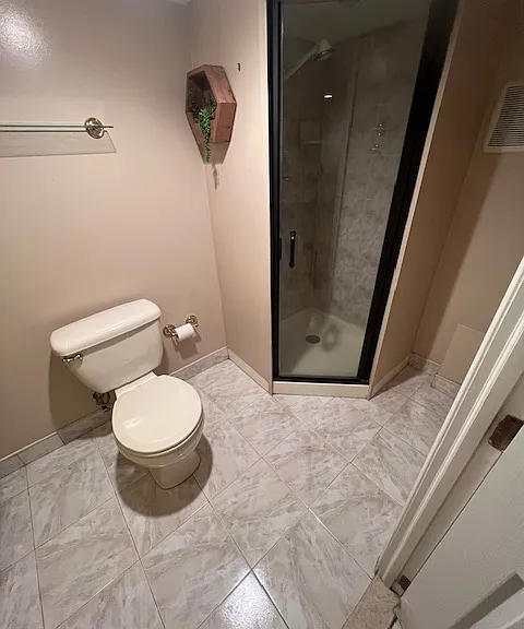 Fully finished basement bathroom