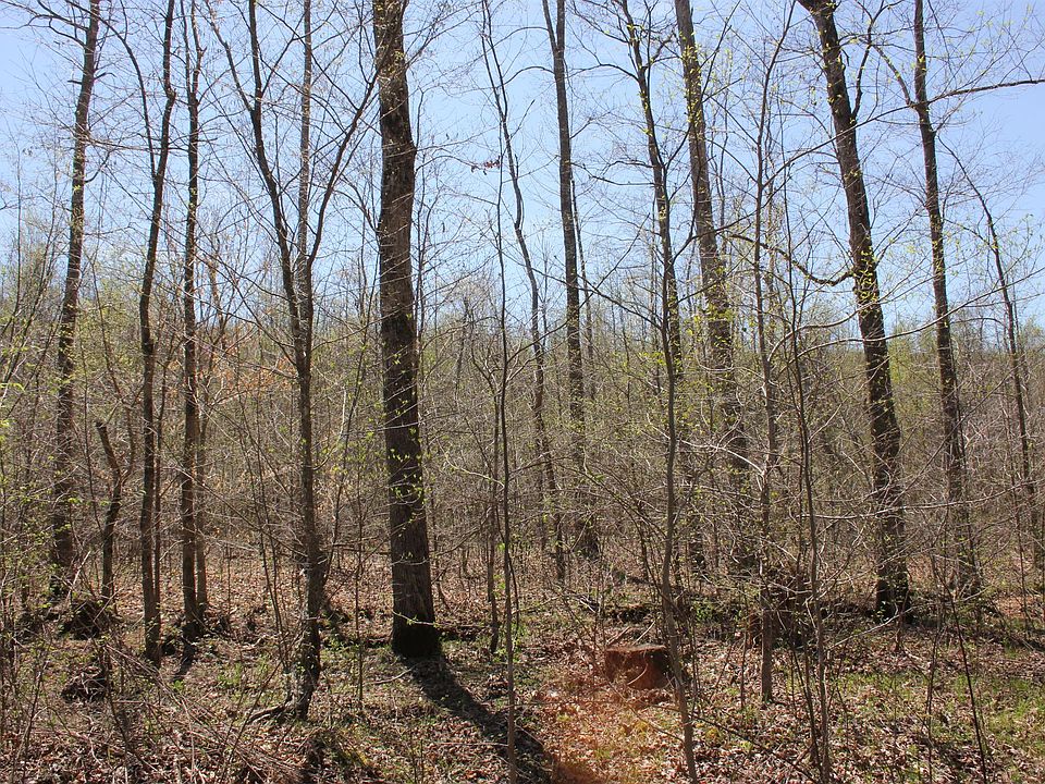 2nd image of 0 Warren Ln